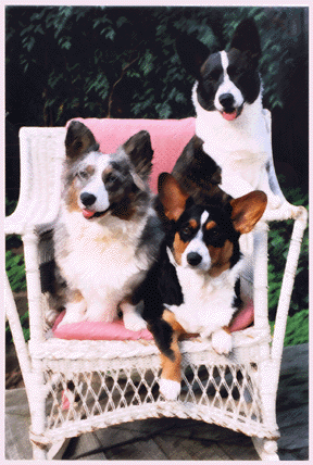 Three in a chair